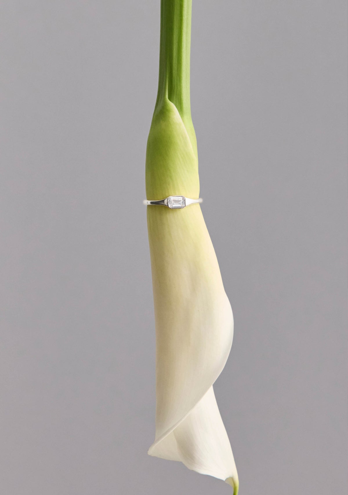 Lineaire Signet Ring - Silver