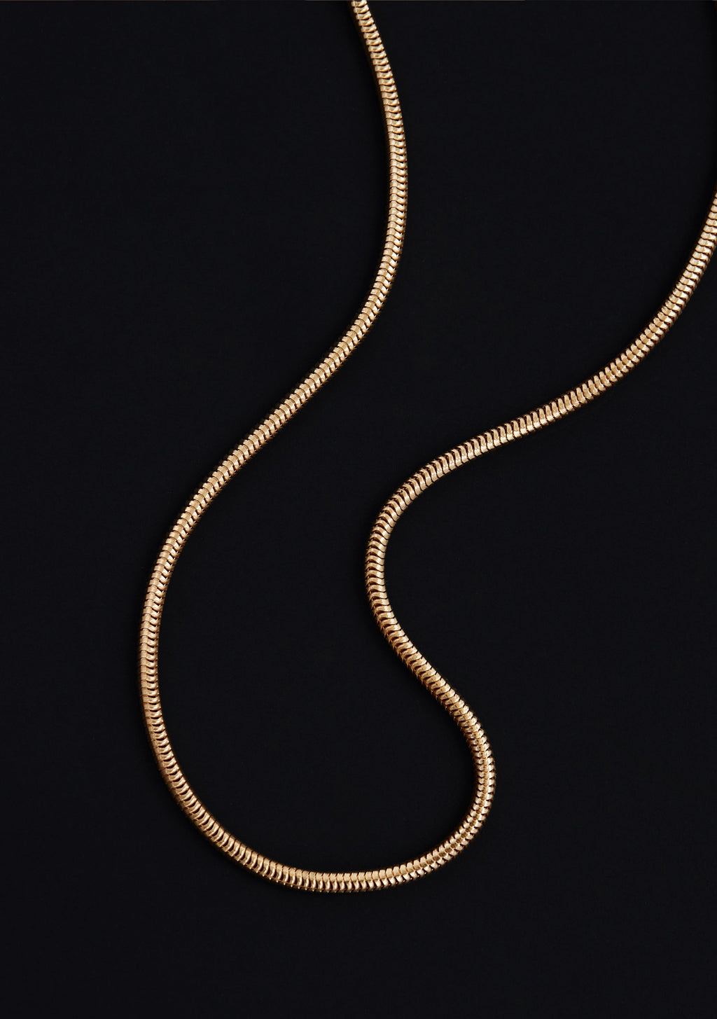 Oslo Round Snake Chain Necklace - Gold
