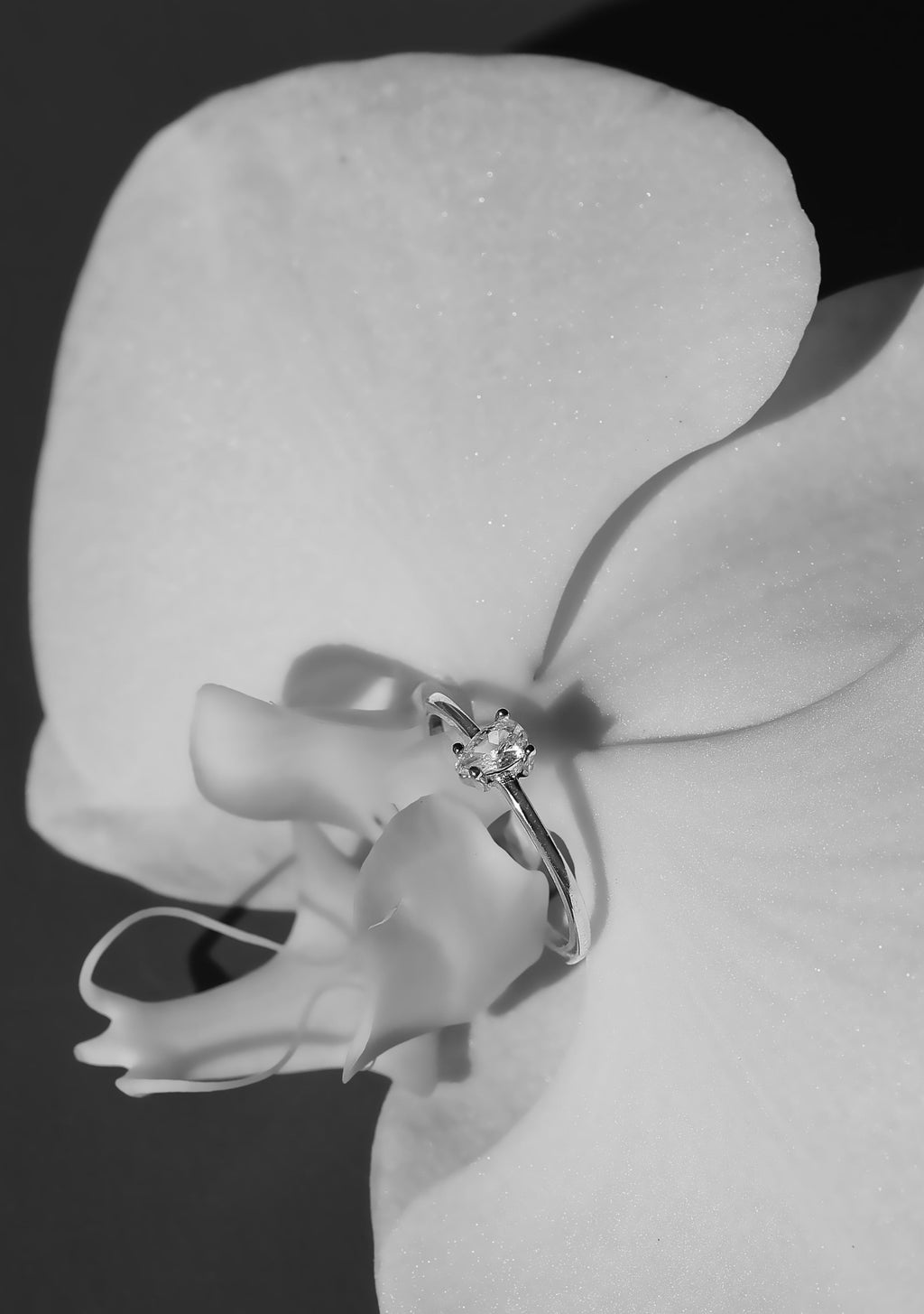 Valentine Ring - Gold
