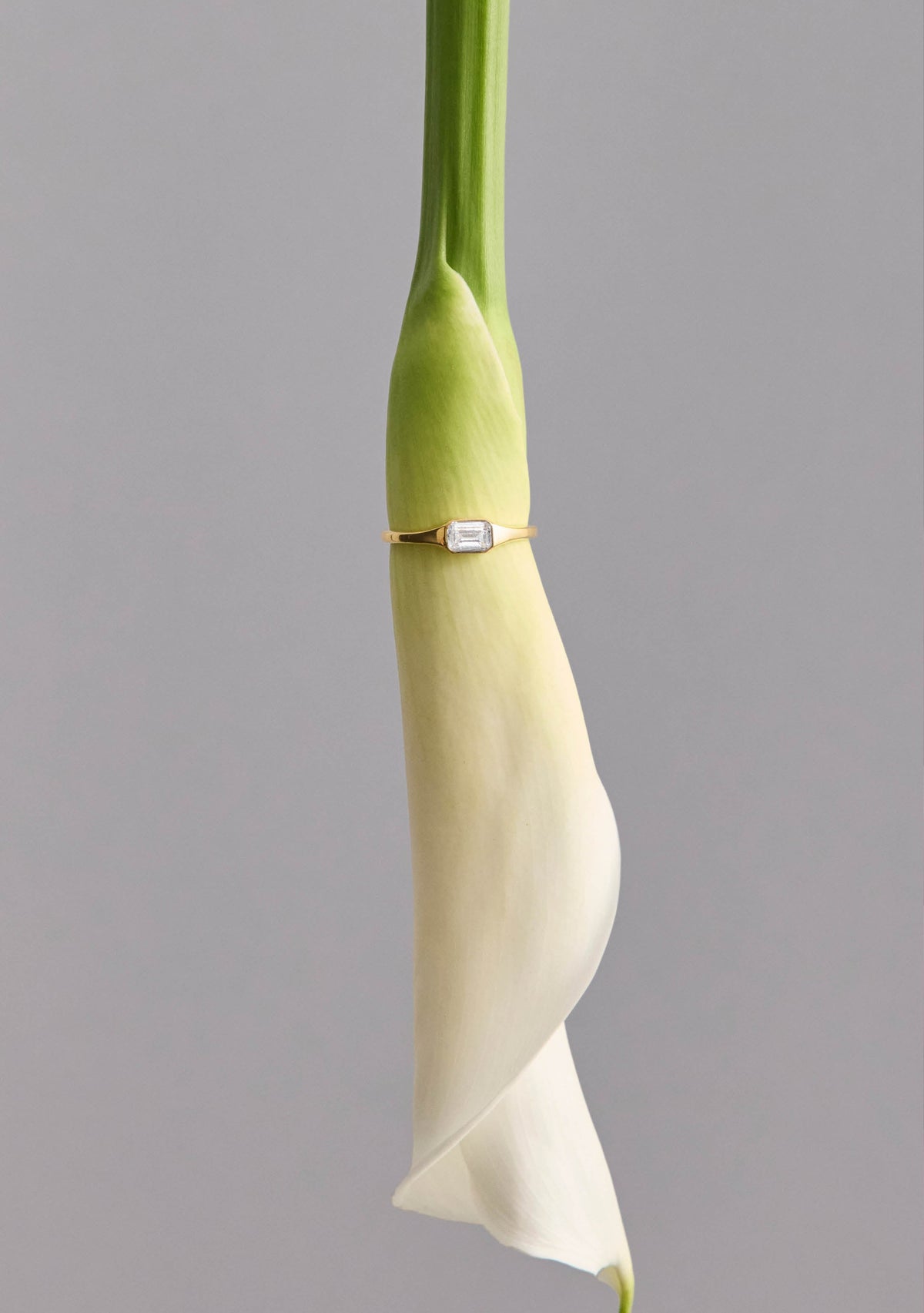 Lineaire Signet Ring - Gold